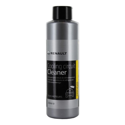 Additif Renault Diesel Injector Cleaner