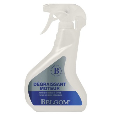 Belgom chromes 250ml (carton de 12) - Équipement atelier moto